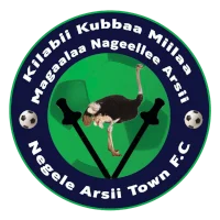 Negele Arsi Ketema